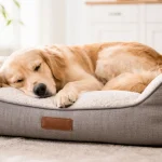 camas-para-perros tipos de camas para perros