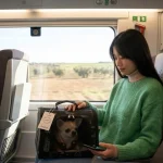 viajar-en-tren-con-perro viajar en tren con perro