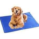 Manta refrescante para perros: guía de uso y cómo funcionan manta refrigerante perros 150x150 - Manta refrescante para perros: guía de uso y cómo funcionan