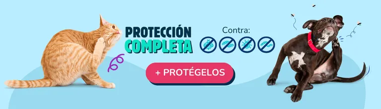 Más protección, menos preocupaciones Móvil