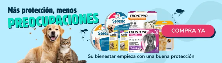 Protección completa Móvil