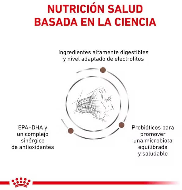 Royal-Canin-Gato-Gastro-Intestinal-Beneficios