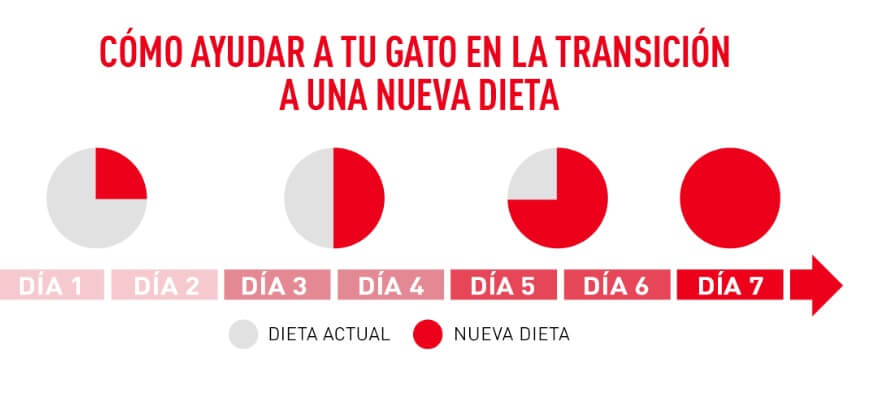 Royal-Canin-Gato-Gastro-Intestinal-Transición