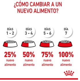 Royal-Canin-Gato-Kitten-Transición