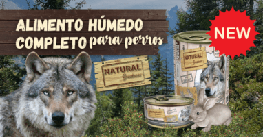 Alimento humedo para perros