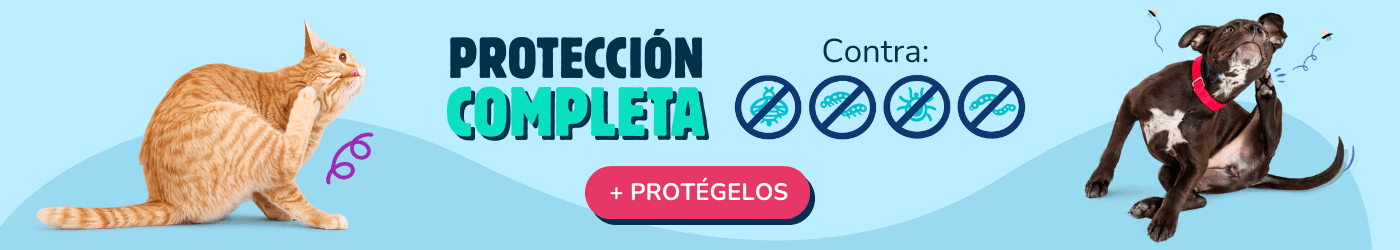 Más protección, menos preocupaciones