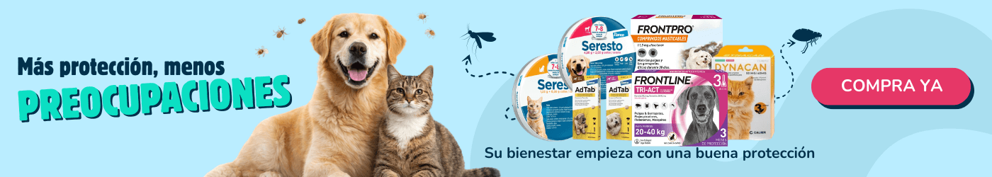 Protección completa