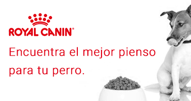 Pienso Royal Canin