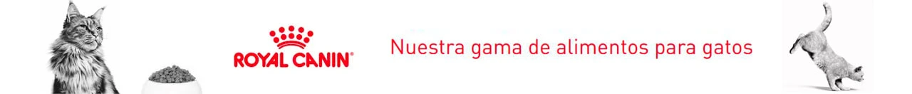 Pienso Royal Canin Gato