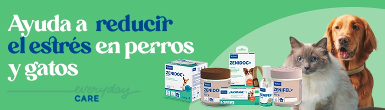 Banner móvil
