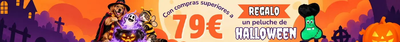 Banner escritorio