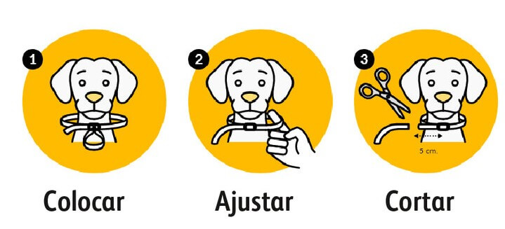 collar scalibor colocación