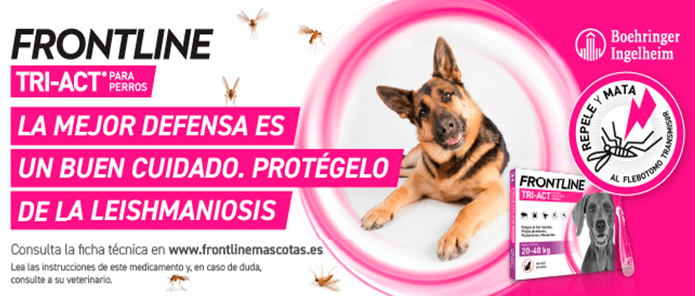 Frontline - Producto
