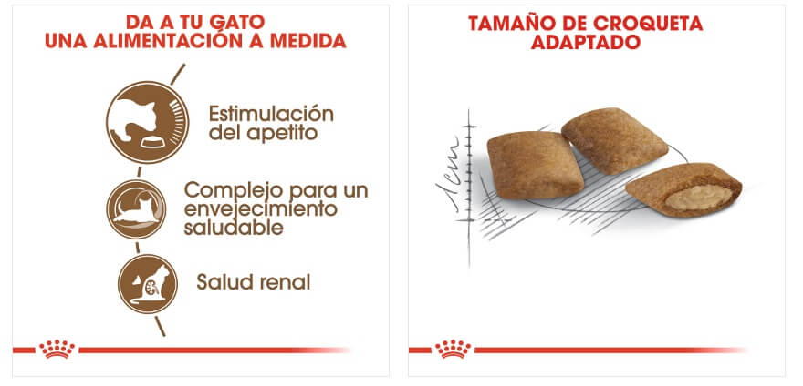 royal-canin-gato-ageing-12+