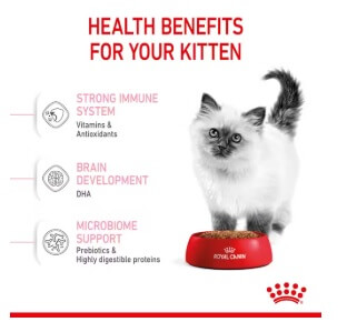 royal-canin-gato-kitten-beneficios