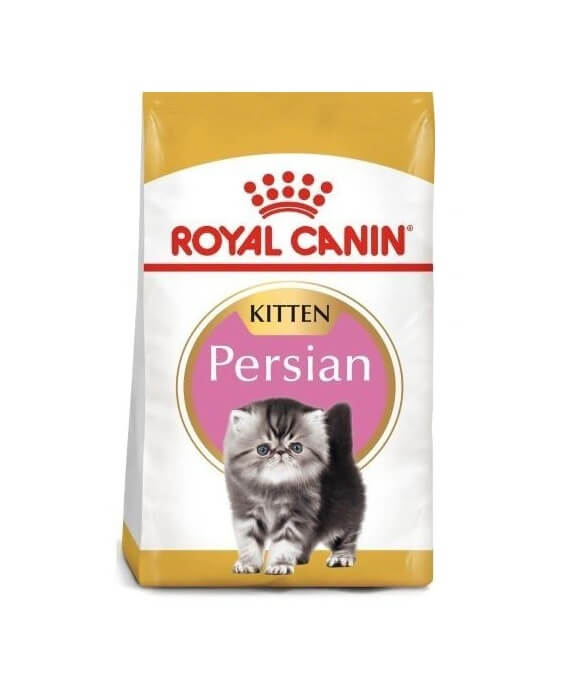 royal-canin-gato-kitten-persian