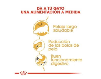 royal-canin-gato-persian-adult-ventajas