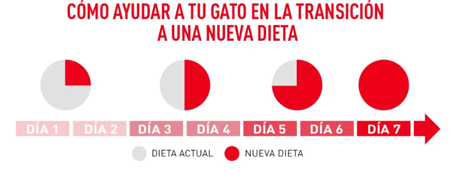 royal-canin-ageing-12+-transición