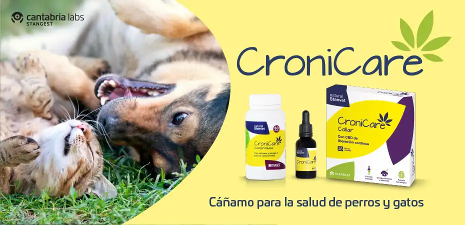 Elegido especialmente para ti