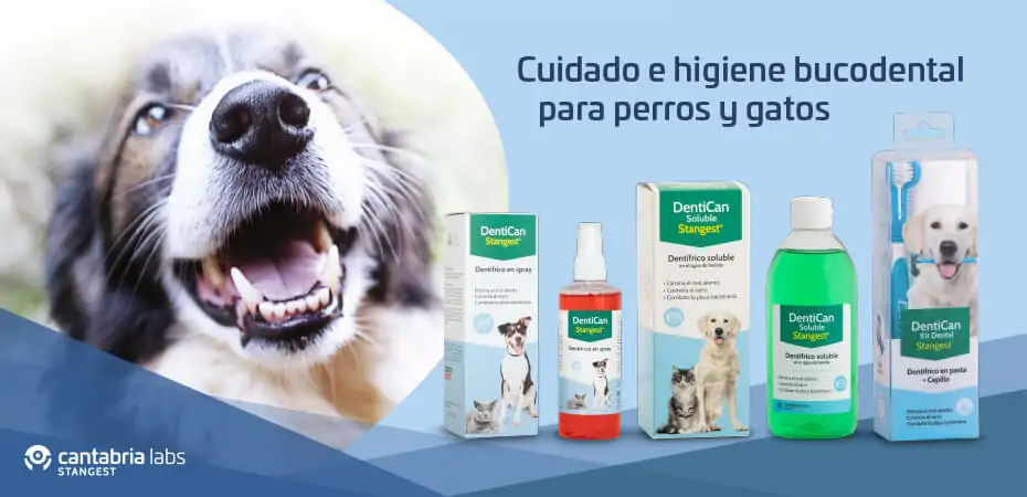 Elegido especialmente para ti