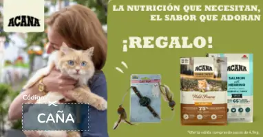 Acana gato