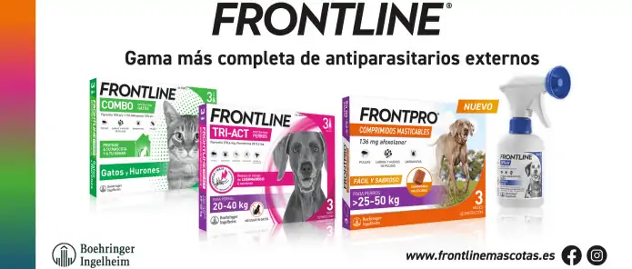 Frontpro