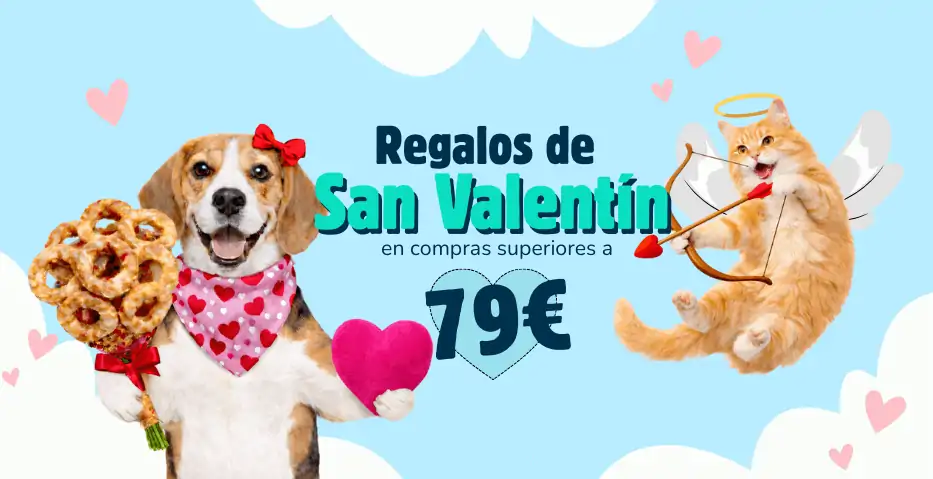 Promoción San Valentín