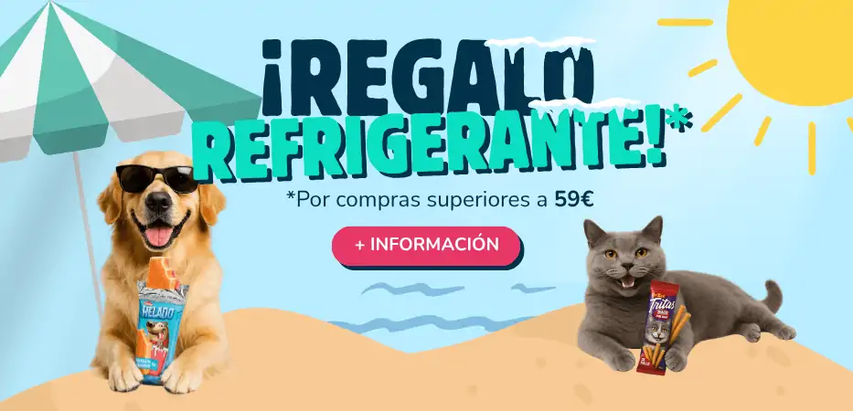 regalos veraniegos