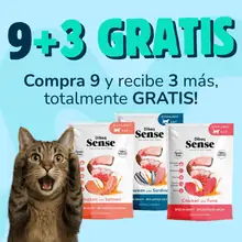 9 + 3 BOCADITOS DIBAQ