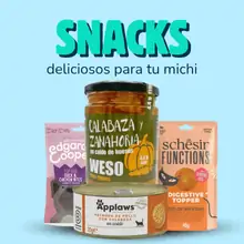 snacks para gato